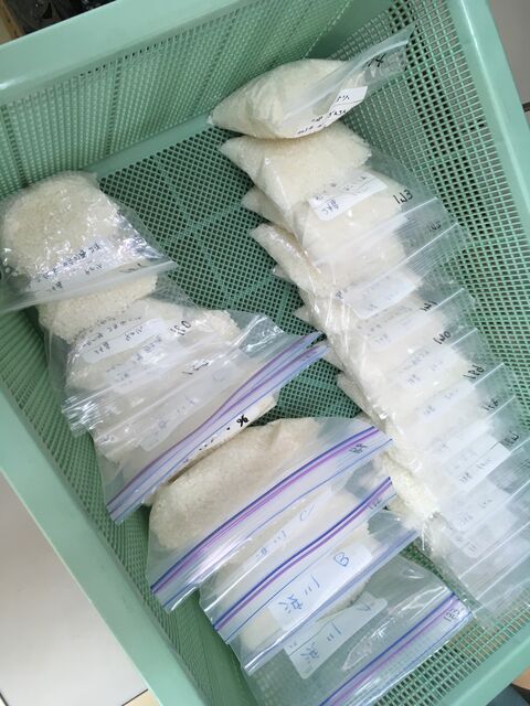 �̿�17 ���ƥ���ץ�