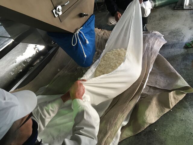 写真4 蒸し米