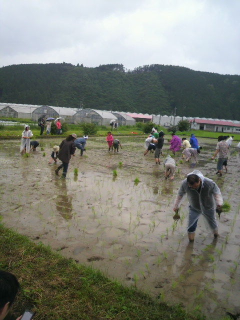 (10)田植え風景4