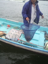 �������󡢥������줿��