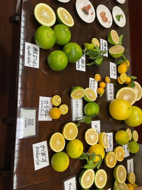 写真2 土佐の酢みかん