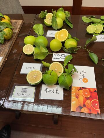 写真2 みかん家にしごみの酢みかん