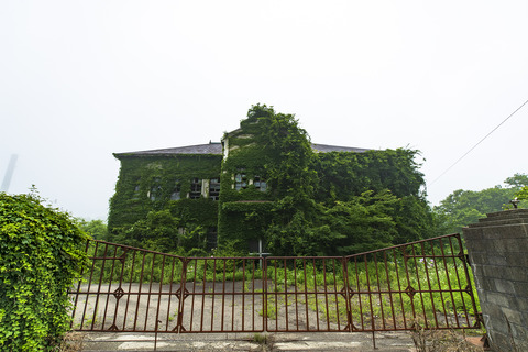 A65I7929