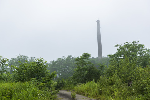 A65I7931