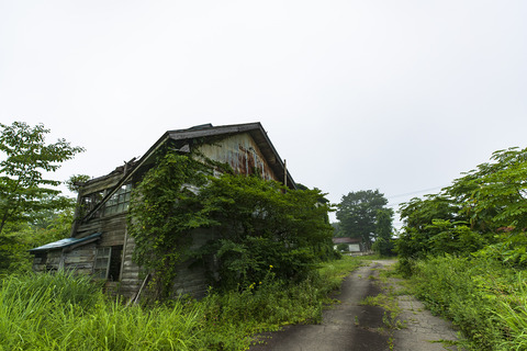 A65I7932