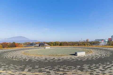 A65I8468