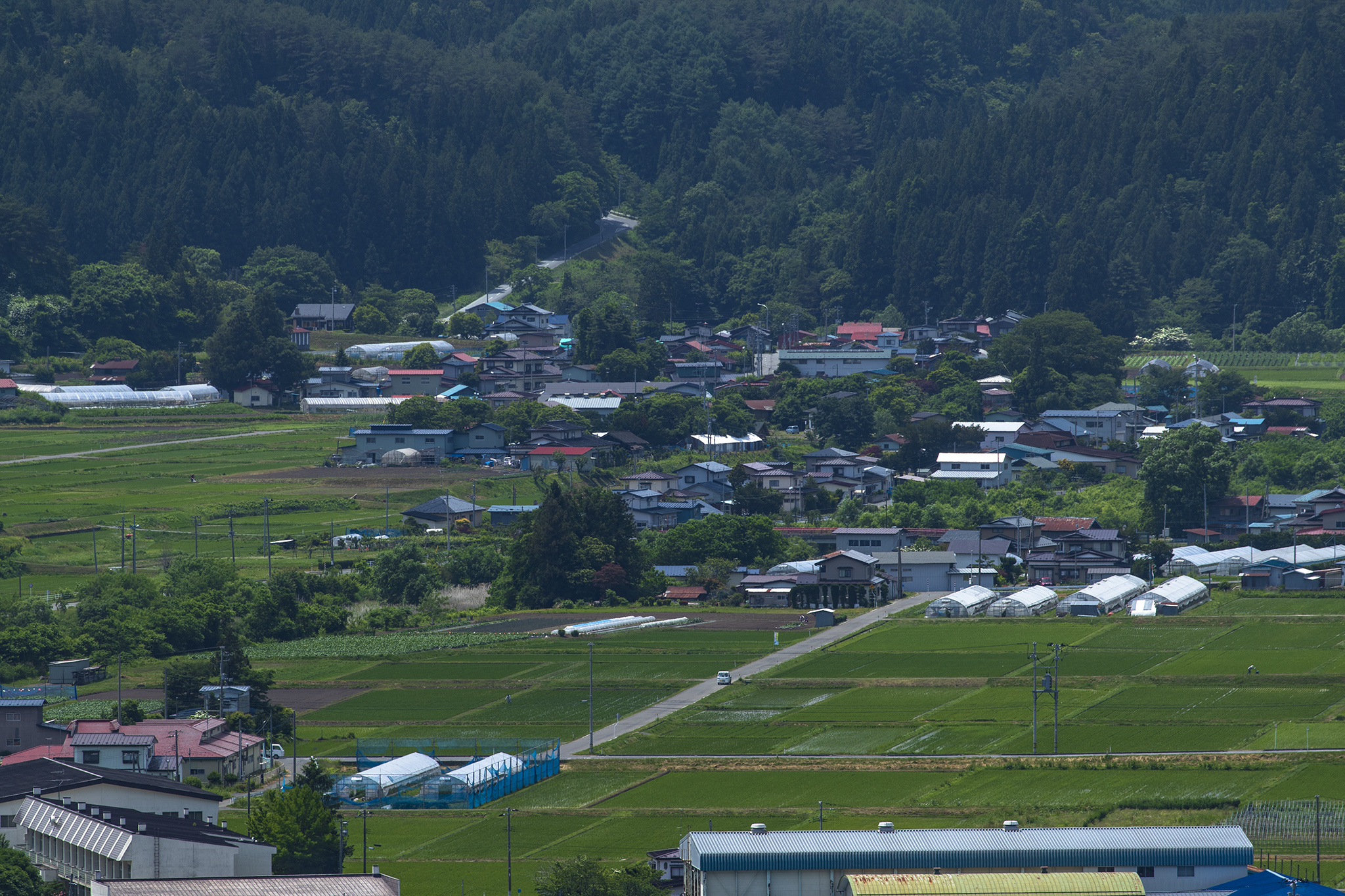 展望台からの風景を求めて Photo Blog
