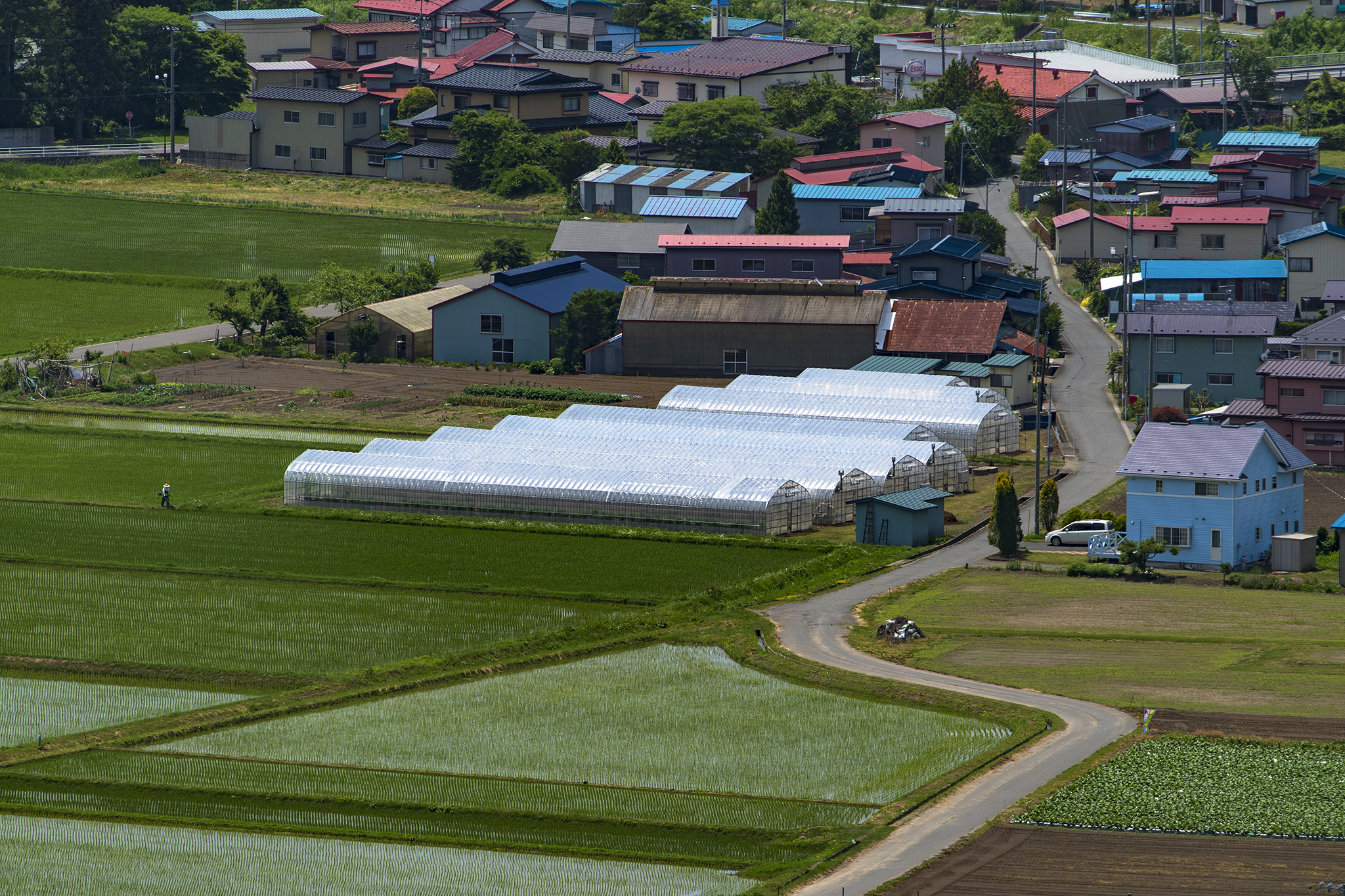 展望台からの風景を求めて Photo Blog