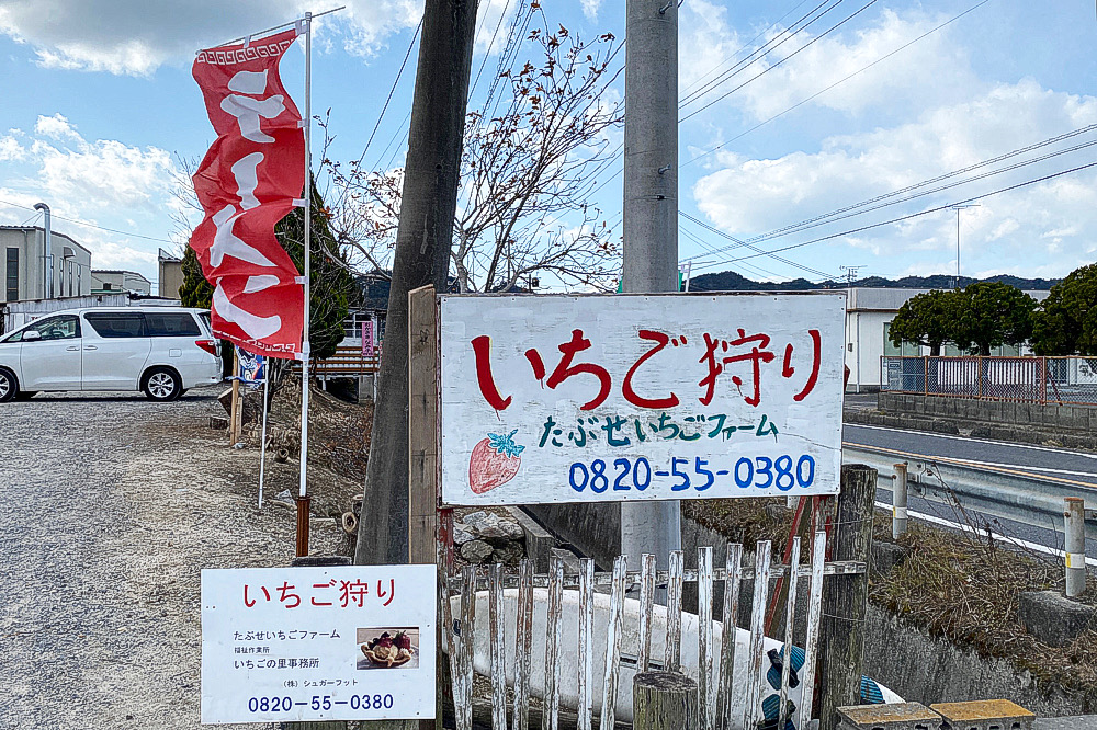 牡蠣小屋いちごカフェ 熊毛郡田布施町 牡蠣小屋 いちごカフェ 牡蠣ラーメン たぶせいちごファーム ꮮaverite ラ ヴェリテ オイスターフォー 酔蕎庵ちどり丸 かきラーメン 田布施 つけものいしのラーメンブログ 今日のホームラン