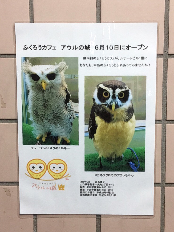 中華料理 光華飯店 宇部市 ラーメン 光華飯店 ふくろうカフェ アウルの城 宇部 つけものいしのラーメンブログ 今日のホームラン