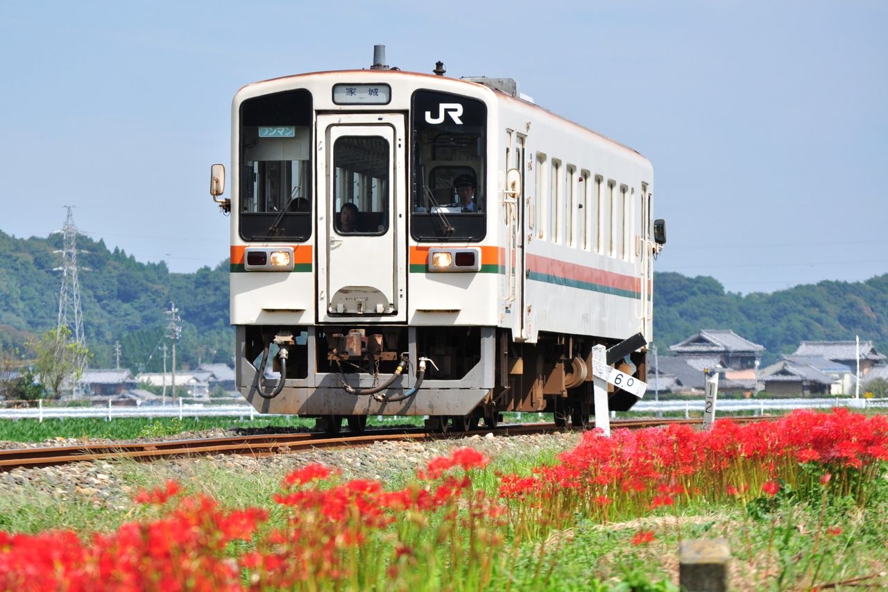 名松線と彼岸花の話 鉄道乗り物その他ブログ