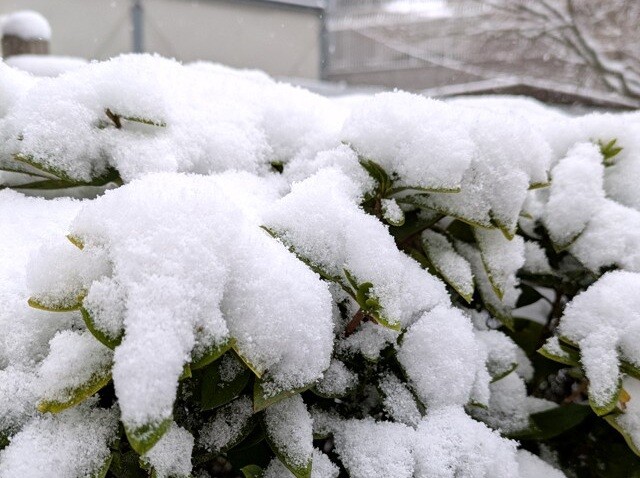 PXL_20260207_225126705 (2)