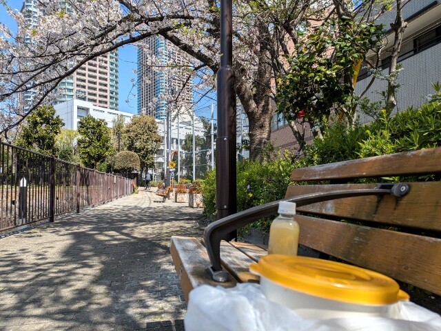 PXL_20260403_025416806