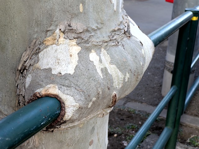 PXL_20260209_231119476 (2)