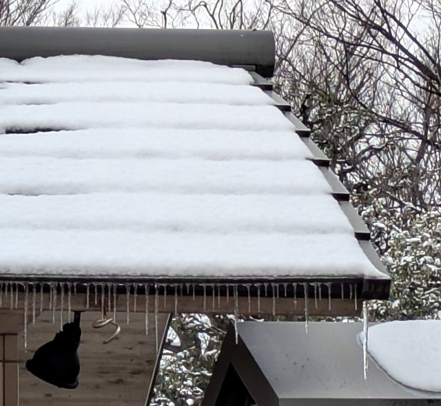 PXL_20260208_055757202a (2)