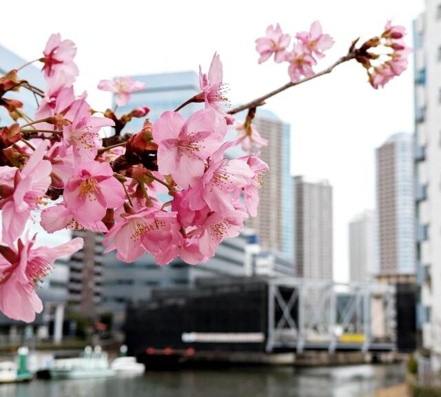 PXL_20260226_023604810