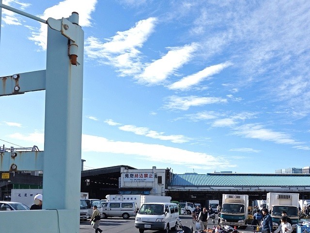 DSC00290のコピー