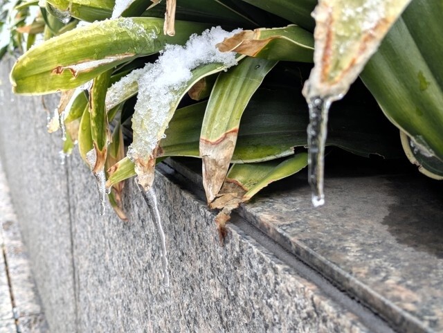 PXL_20260208_051913813 (2)