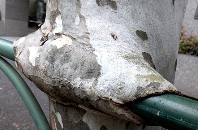 PXL_20260207_045241300 (2)