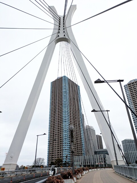 PXL_20260226_024246818