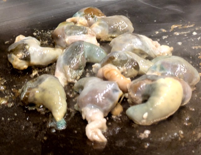 PXL_20260209_091442019 (2)