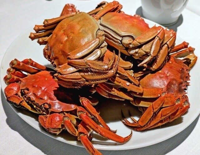 PXL_20251108_094751066