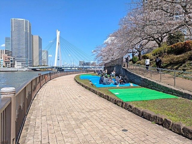 PXL_20250404_032707927