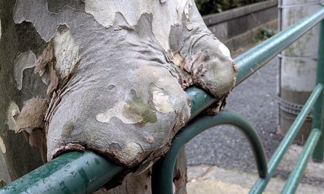 PXL_20260207_045401710 (2)