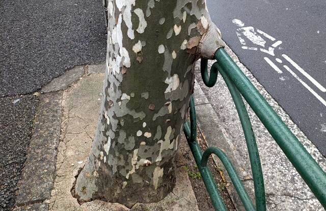 PXL_20260207_045353393 (2)