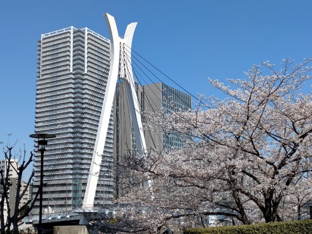 PXL_20260403_020719178