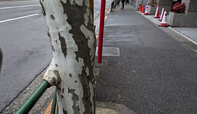 PXL_20260207_045225571 (2)