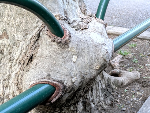 PXL_20260209_231023465 (2)