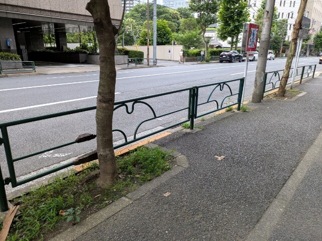 PXL_20260707_014815965