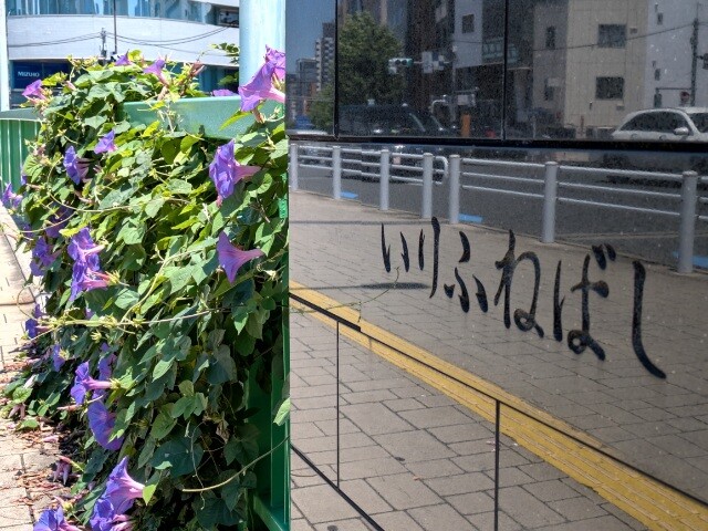 PXL_20260710_031107118