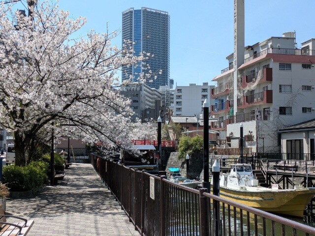 PXL_20260403_022958778