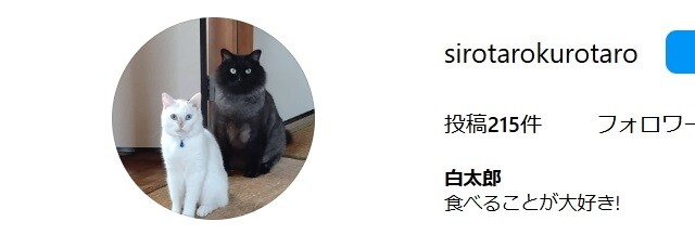 sirotarokurotaro