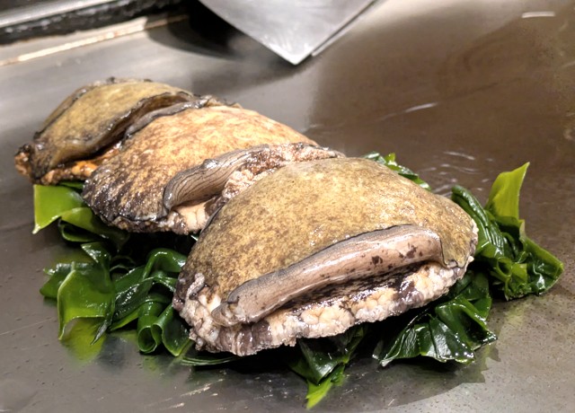 PXL_20260209_090749644 (2)