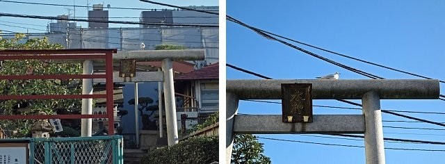 DSC00280