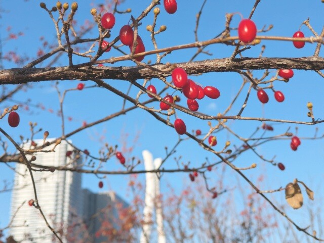 PXL_20251219_051910097