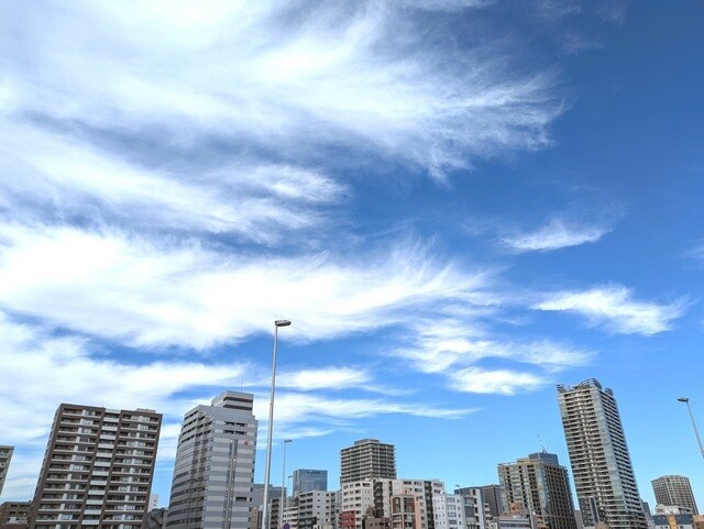 PXL_20251112_014439410