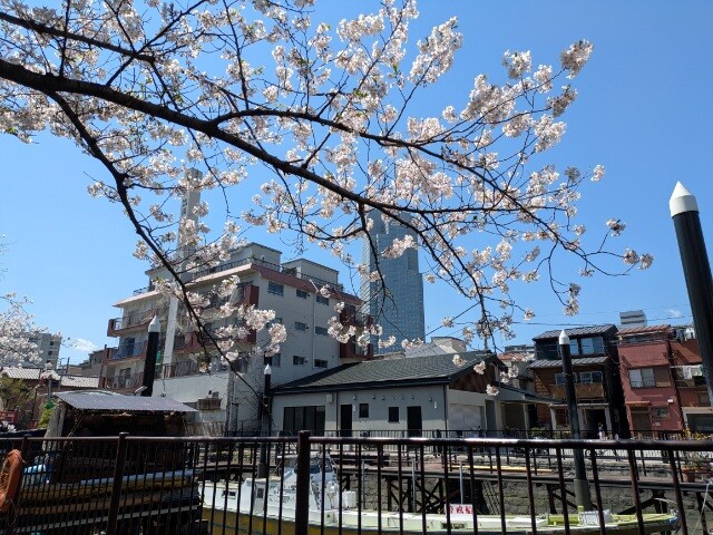 PXL_20260403_030729187