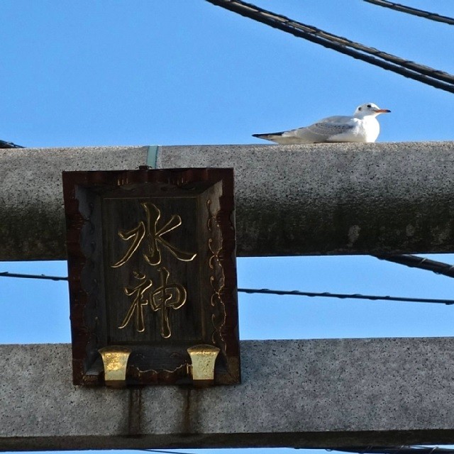 DSC00279