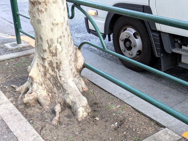 PXL_20260209_231012569 (2)