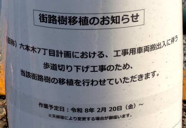 PXL_20260209_231156052 (2)