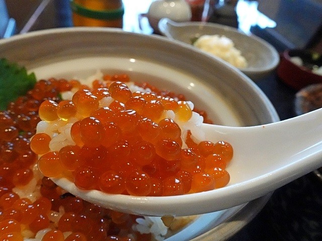 DSC00480