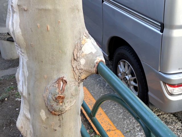 PXL_20260209_231114640 (2)