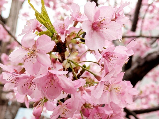 PXL_20260226_023534690