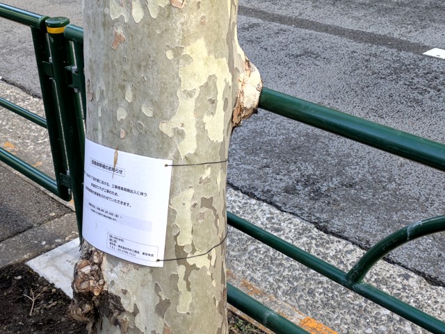 PXL_20260209_231135916 (2)