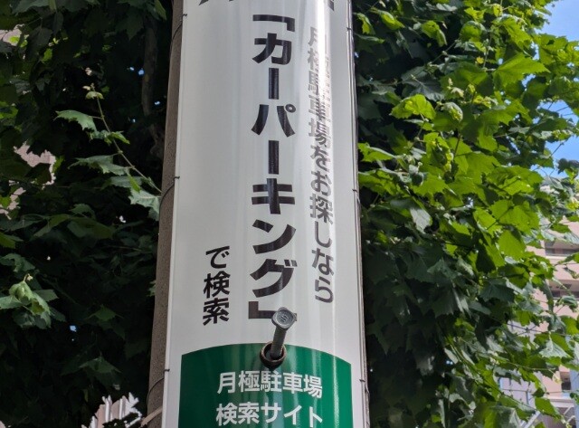 PXL_20260629_062546697