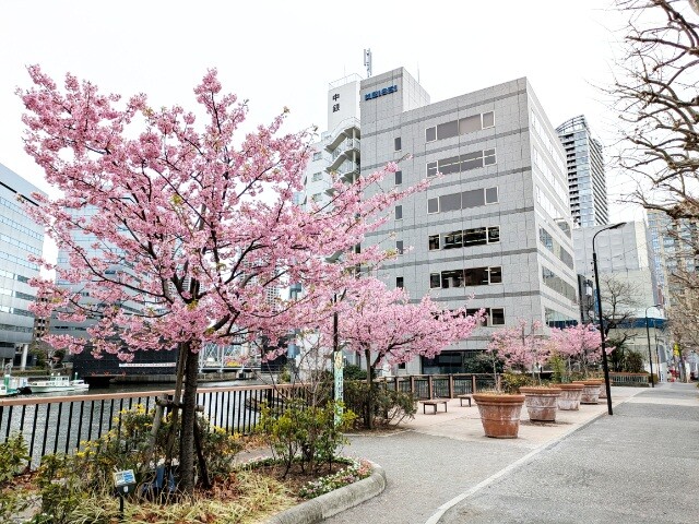 PXL_20260226_023432542